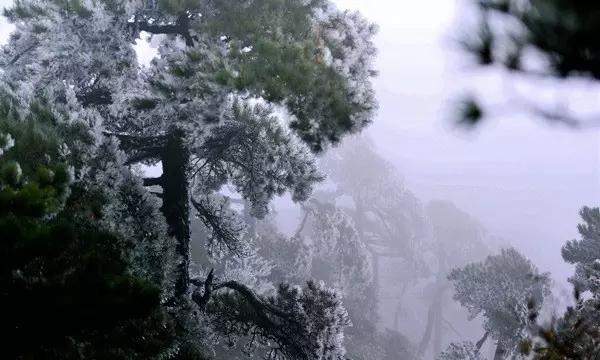 救援小胖妞